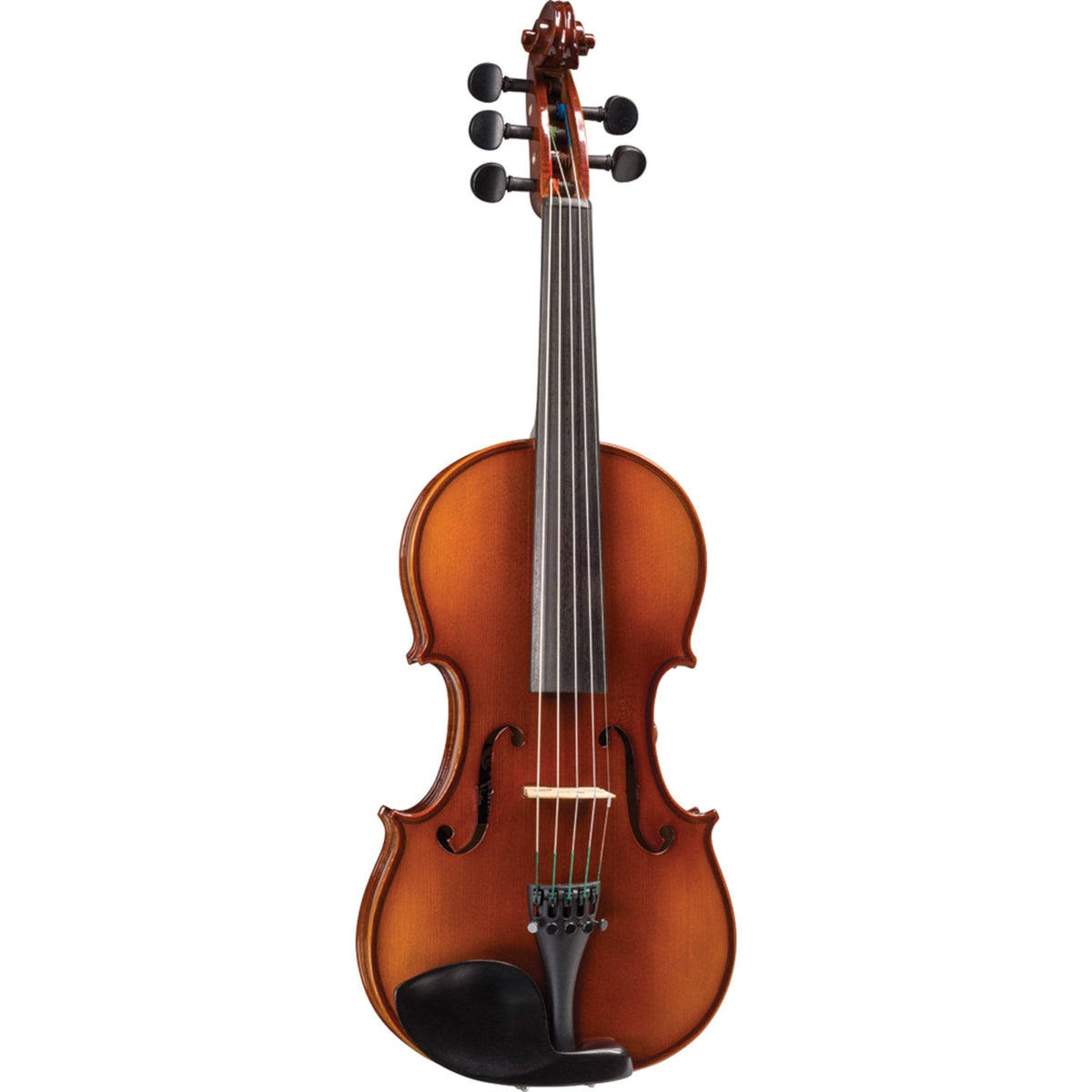 Realist Acoustic-Electric 5-string Violin with Case